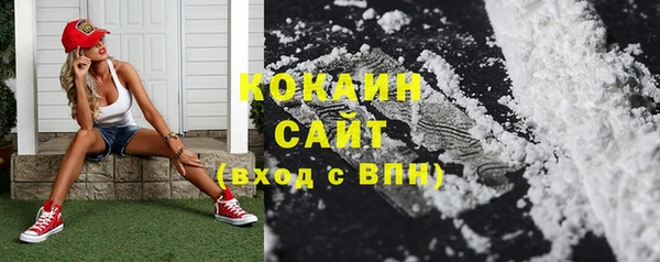 мдпв Козловка