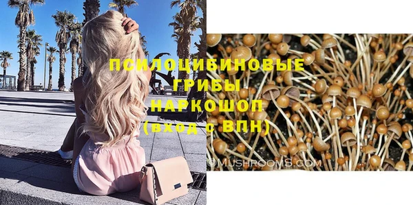 прущий лед Костерёво